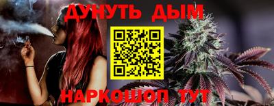 прущие грибы Новодвинск
