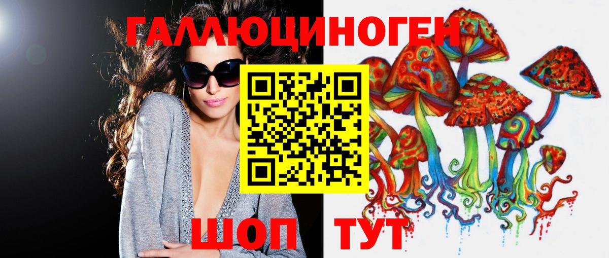 Фурманов  Галлюциногенные грибы прущие грибы  Вход с VPN  Псилоцибиновые грибы Psilocybe 