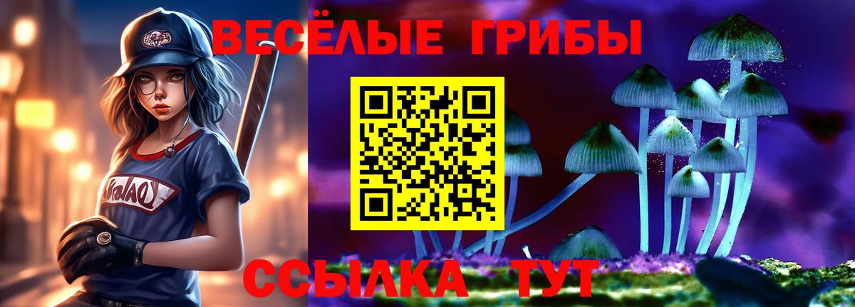 Псилоцибиновые грибы мицелий Фурманов
