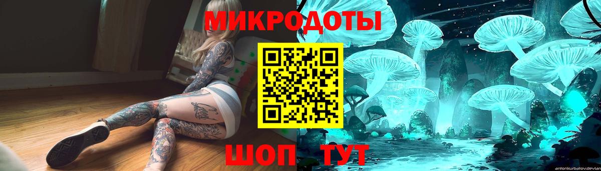 цена   Фурманов  Галлюциногенные грибы мицелий  Псилоцибиновые грибы Cubensis 